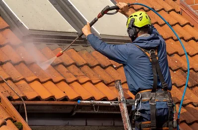 Démoussage et hydrofuge de toiture à Coulgens